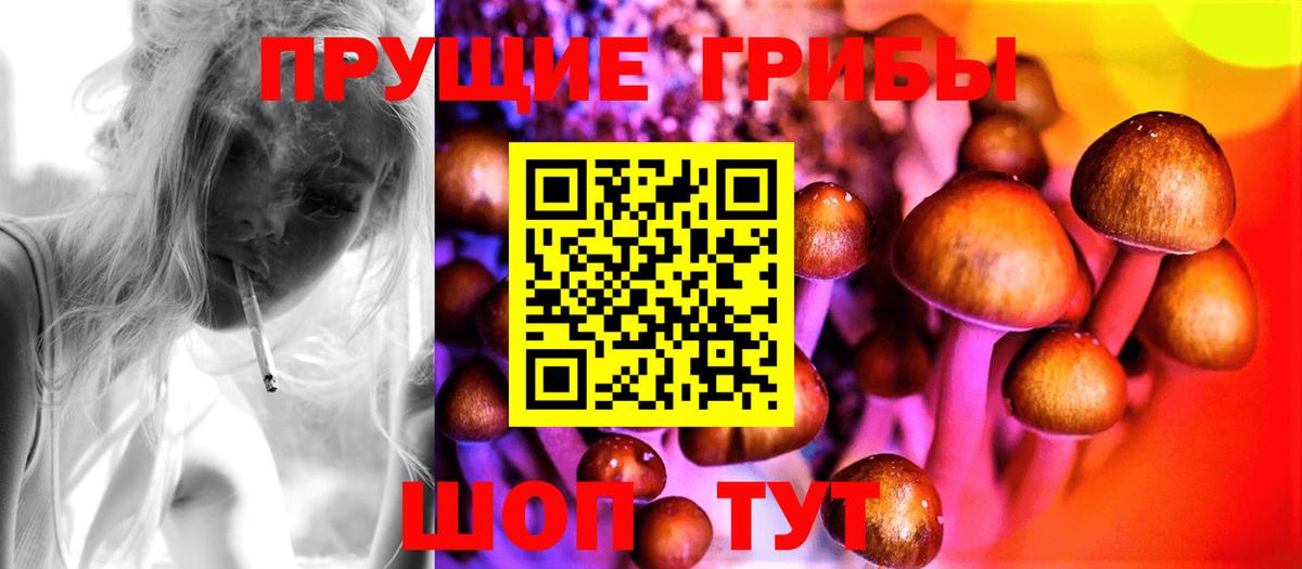 Псилоцибиновые грибы GOLDEN TEACHER  Вход с VPN  Озёрск 